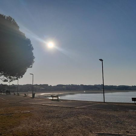 Le 322 Entre Lac Et Ocean Vieux-Boucau-les-Bains Exteriör bild