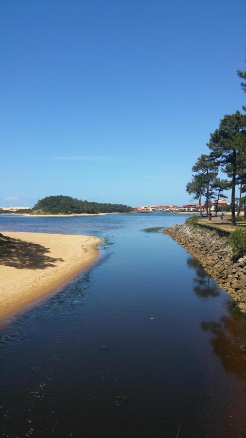 Le 322 Entre Lac Et Ocean Vieux-Boucau-les-Bains Exteriör bild