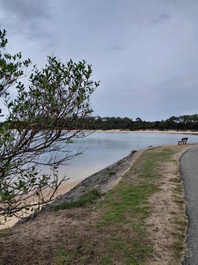 Le 322 Entre Lac Et Ocean Vieux-Boucau-les-Bains Exteriör bild